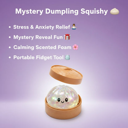 Mystery Dumpling Squishy Blind Box